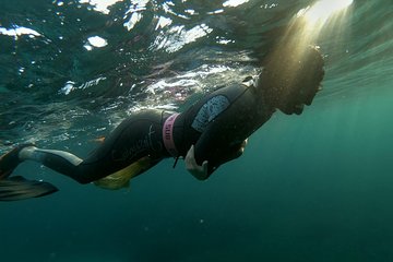 Sunset Snorkeling around Malta