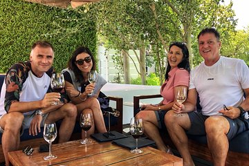 Art, Wine Tasting and Gardens Day Tour from Cape Town