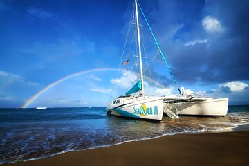 West Maui Half Day Snorkel from Ka'anapali Beach