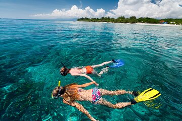 Snorkel adventure, discover the underwater world of COZUMEL. Lunch included