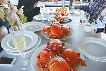 Gold Coast City Sights Tour from Brisbane