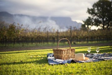 Full-day Winelands Explore Private Tour: Stellenbosch, Franschhoek, Paarl region