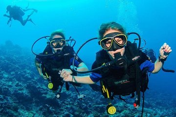 Two Dives for certified divers and Snorkeling in Fujairah