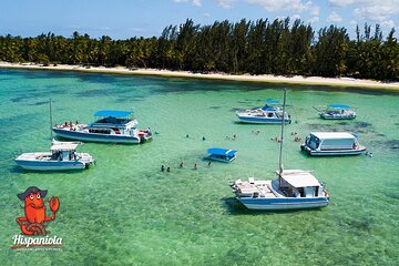 #1 Rated Small Group, Adult Only Coral Nursery Snorkeling with Seafood Lunch