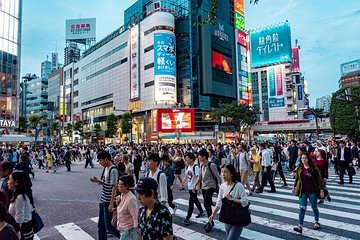 Tokyo by Yourself with English Chauffeur by Business Sedan or Luxury Van