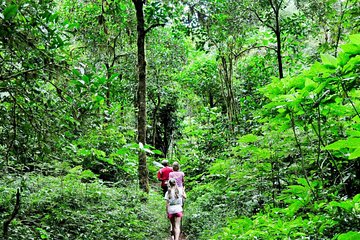 Full-Day Bali Jungle Trekking Adventure and Exploring Tour to Uluwatu Temple