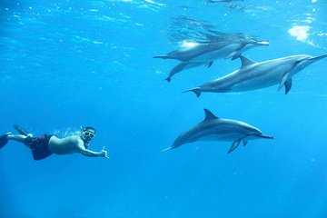 Excursions Dolphin House Snorkel Sea - Hurghada