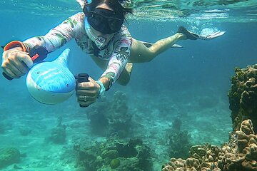 Sea Scooter Snorkel Tour - Lagoon Discovery : Wrecks, Coral Gardens and Tropical Fishies