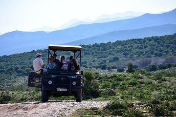 Bush Safari