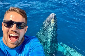 From Lahaina Harbor: 2-Hour Whale Watch(s) Aboard Quicksilver
