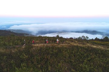 Black Balsam Trail Running Tour
