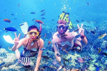snorkeling excursion Ras Mohammed National Park and white Island