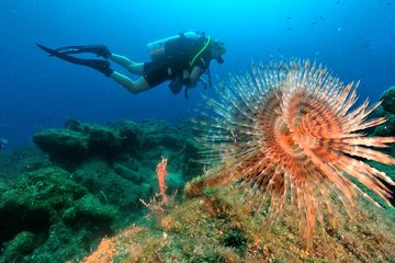 Discover Scuba Diving From Kusadasi / Selcuk Hotels