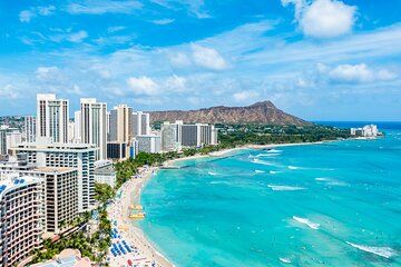 Waikiki Green Sea Turtle Snorkeling Tour - Boat Excursion