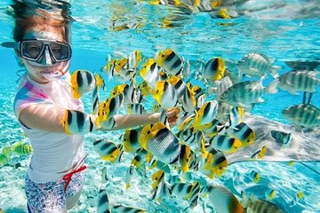 Giftun Island Snorkeling Trip with Lunch
