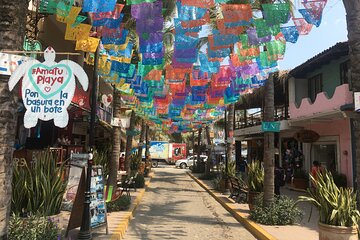 Sayulita & San Pancho Beach Town Tour