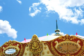 Tokyo DisneySea Private Transfer : from DisneySea to Tokyo (One Way)
