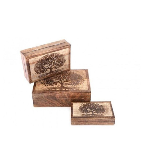 Set of 3 - Tree of Life Rectangular Boxes - Mango Wood