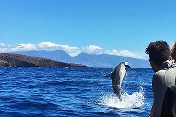 Lanai Dolphin Encounter & 1 Snorkel Site