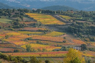 Montepulciano, Nobile Wine Tour