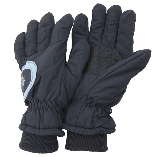 (One Size Fits All, Navy) Floso Ladies/Womens Thinsulate Extra Warm Thermal Padded Winter/Ski Gloves With Palm Grip (3M 40g)