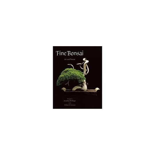 Fine Bonsai by By photographer Jonathan M Singer