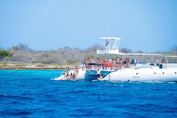 Catalina Island Tour & Snorkeling