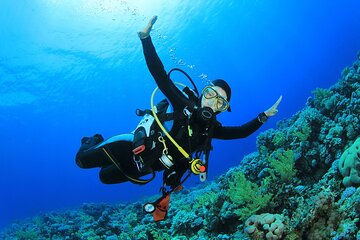 Coral Garden Snorkeling Sea Trip & One Diving Stop With Lunch - Marsa Alam
