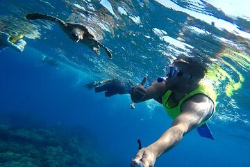 Full-Day Snorkeling Tour in Caño Island with Lunch