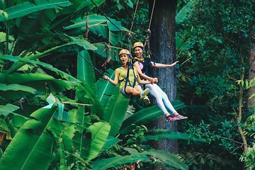Flying Hanuman Ziplines 28 latforms & Transfer RoundTrips