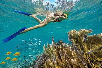 Puerto Morelos Reef Snorkeling Tour with Cancun Pickup