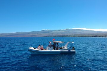 Private Big Island Snorkel Tour