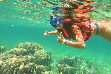 Amazing Snorkel Adventure! Full Inmerse Activity