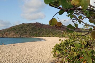 St.Martin - St.Maarten: Small Group, Hiking and Snorkel Tour