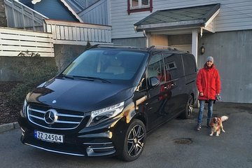 TRANSFER, LUXURY VAN 1-7 PAX: Bergen - Voss