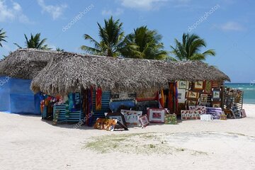 6 + 1 Full Day Isla Saona Tour and Snorkel in Natural Pool Mangroves Bayahibe