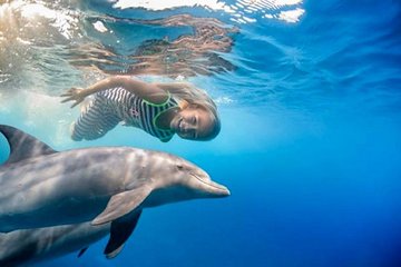 Dolphin House Full Day Snorkeling Sea Trip With Water Sport and Lunch - Hurghada