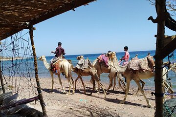 Full Day In Dahab From Sharm El Sheikh Snorkel & Camel Ride, Quad Bike