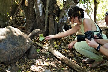Stone Town tour + Prison Island and Snorkeling Tour in Zanzibar