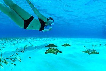 Experience the magical Snorkel Tour to El Cielo in Cozumel from Cancun