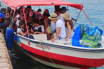 Full Day Tour to 4 Rosario Islands with snorkeling and plankton in Cartagena