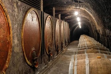 Wine & Culture tour in the north of Rome