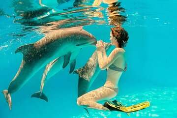 Dolphin House Snorkeling Sea Trip With Water Sports and Lunch - Hurghada