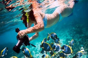 Snorkeling at Mahmya Island from Hurghada in Egypt