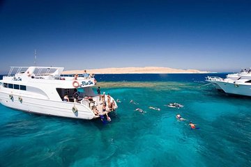Snorkeling and Diving Trip To White Island & Ras Mohamed From Sharm-el-Sheikh