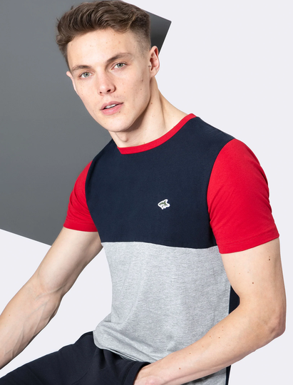 T-Shirts Adon Colour Block Panel Cotton Jersey T-Shirt in Scarlet Sage - Le Shark / S - Tokyo Laundry