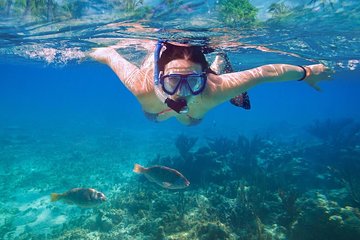 Amazing Snorkeling Experience in Cancun