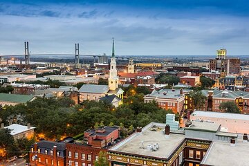 Savannah Small-Group Van Movie Tour