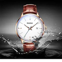 OLEVS Mechanical Watch for Men Analog Automatic self-winding Luminous Luxury Waterproof Calendar / date / day Noctilucent Alloy Genuine Leather Fashion Lightinthebox