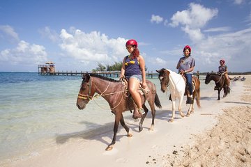 Roatan Half-Day Combo Horseback Riding with Zip Line Monkey & Sloths & Snorkel